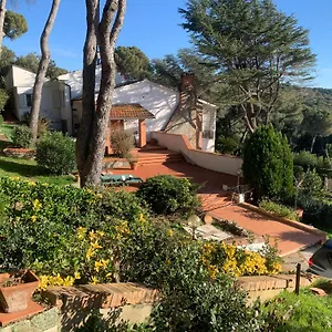 Tara Bed & Breakfast